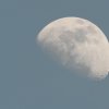 Mond