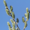 1dfh-01042012-15
