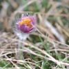 1dfh-040416-000