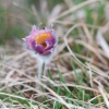 1dfh-040416-001
