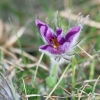 1dfh-040416-002