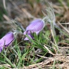 1dfh-040416-003