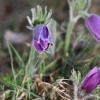 1dfh-040416-007