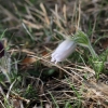 1dfh-040416-008