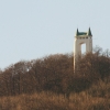 Küchenschellen Pfullingen
