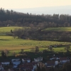 Küchenschellen Pfullingen