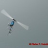 1dfh_0010