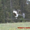 1dfh_0028