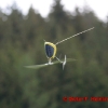 1dfh_0008