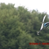 1dfh_0012