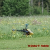 1dfh_0016