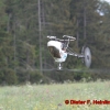 1dfh_0028
