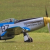 Louisiana Kid Degerfeld