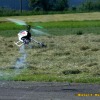 IMG_0012