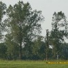 IMG_0045
