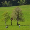 MFC Heuberg 24.05.2010