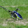 IMG_1251