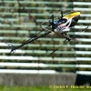 IMG_1319