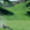 IMG_1428