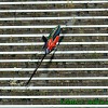 IMG_2301