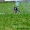 IMG_2384