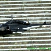 IMG_2659