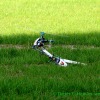 IMG_3024