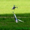 IMG_3025