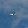 1dfh-mhm07_0073