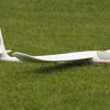 1dfh-oppingen-190610-25
