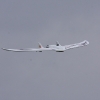 1dfh-oppingen-190610-34