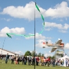 limbofliegen