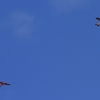 Modellflugmesse Hülben 10.09.2021