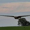 Modellflugmesse Hülben 10.09.2021