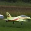 Modell-Flugschau Sport- und Segelfliegerclub Bad Waldsee- Reute e.V.