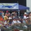 Modell-Flugschau Sport- und Segelfliegerclub Bad Waldsee- Reute e.V.