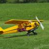 Modell-Flugschau Sport- und Segelfliegerclub Bad Waldsee- Reute e.V.