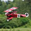 Modell-Flugschau Sport- und Segelfliegerclub Bad Waldsee- Reute e.V.