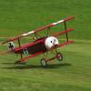 Modell-Flugschau Sport- und Segelfliegerclub Bad Waldsee- Reute e.V.