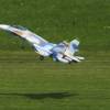 Modell-Flugschau Sport- und Segelfliegerclub Bad Waldsee- Reute e.V.