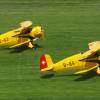 Modell-Flugschau Sport- und Segelfliegerclub Bad Waldsee- Reute e.V.