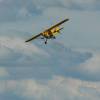 Modell-Flugschau Sport- und Segelfliegerclub Bad Waldsee- Reute e.V.