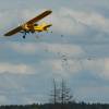 Modell-Flugschau Sport- und Segelfliegerclub Bad Waldsee- Reute e.V.