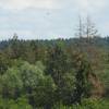 Modell-Flugschau Sport- und Segelfliegerclub Bad Waldsee- Reute e.V.
