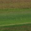 Modell-Flugschau Sport- und Segelfliegerclub Bad Waldsee- Reute e.V.