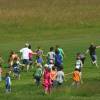 Modell-Flugschau Sport- und Segelfliegerclub Bad Waldsee- Reute e.V.