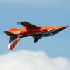 Modell-Flugschau Sport- und Segelfliegerclub Bad Waldsee- Reute e.V.