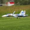 Modell-Flugschau Sport- und Segelfliegerclub Bad Waldsee- Reute e.V.