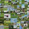 Modell-Flugschau Sport- und Segelfliegerclub Bad Waldsee- Reute e.V.