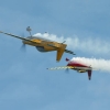 Modell-Flugschau Sport- und Segelfliegerclub Bad Waldsee- Reute e.V.